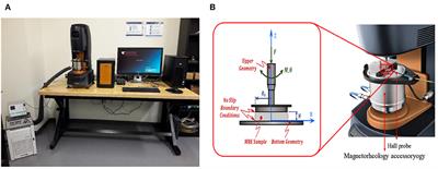 Development and Control of Magnetorheological Elastomer-Based Semi-active Seat Suspension Isolator Using Adaptive Neural Network